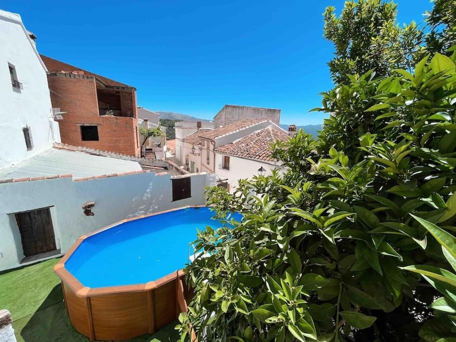 La Palmera. Casa Rural Con Piscina Privada. Benadalid エクステリア 写真