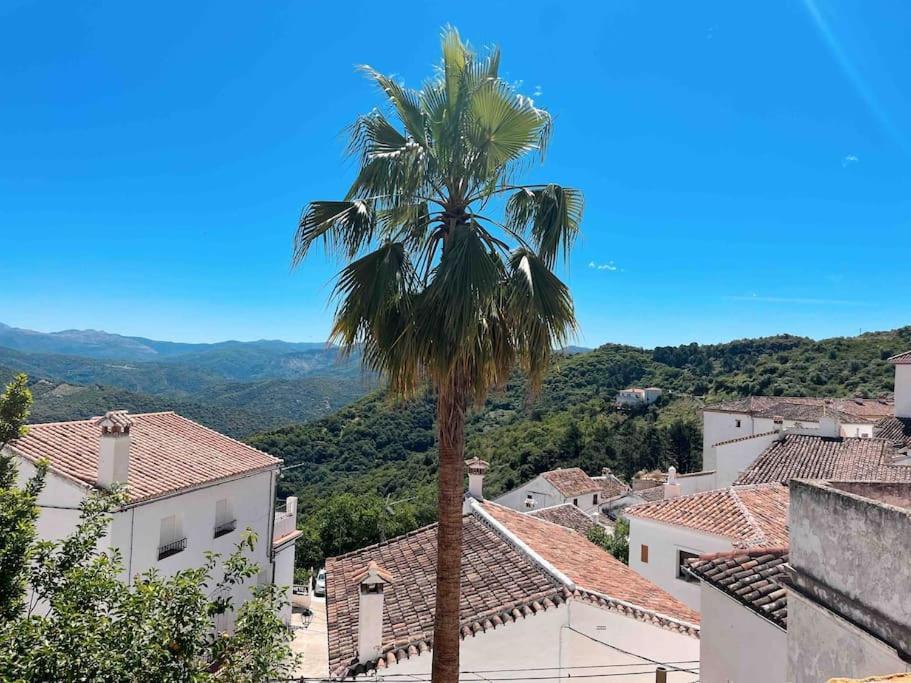La Palmera. Casa Rural Con Piscina Privada. Benadalid エクステリア 写真